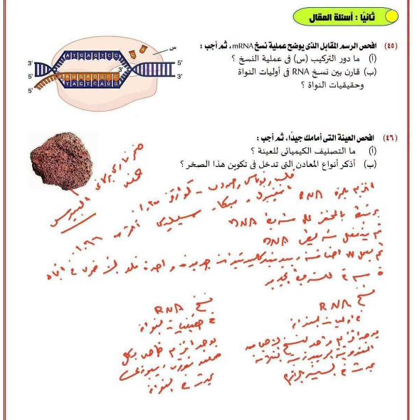 اجابات استرشادي احياء7 اجابات استرشادي احياء7
